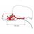 KIT F80S DUCATO/JUMPER/BOXER H2 DAL 2006 PER L2/L3  ALLUM.
