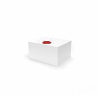 SERBATOIO  48X25X40 CM. LT.42,2 BIANCO