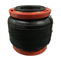 MOLLA PER DUCATO X250/X290