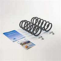 KIT MOLLE ANTERIORI DUCATO X250/X290 DAL 2006 IN POI