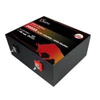 BATTERIA LITIO 200Ah 12,8V LiFePO4 BLUETOOTH-BMS SOTTOSEDILE