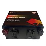 BATTERIA LITIO 310Ah 12,8V LiFePO4 BLUETOOTH-BMS SOTTOSEDILE