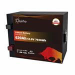 BATTERIA LITIO 620Ah 12,8V LiFePO4 BLUETOOTH-BMS